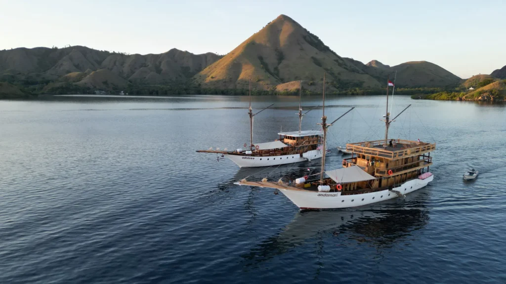 Phinisi Liveaboard Labuan Bajo The Best Way to Explore the Underwater World