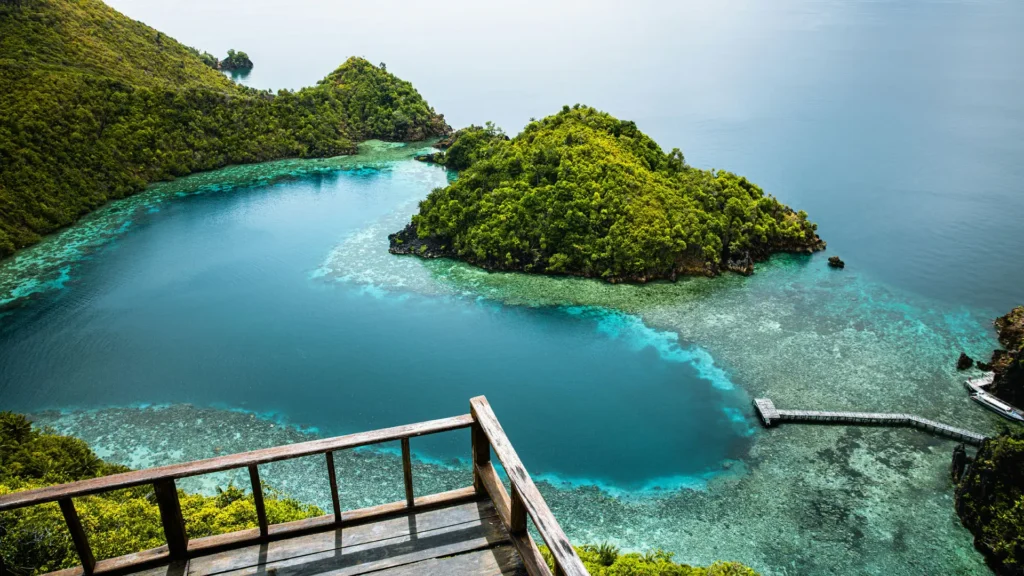 Raja Ampat’s Marine Biodiversity Why It’s Called the Crown Jewel of Diving
