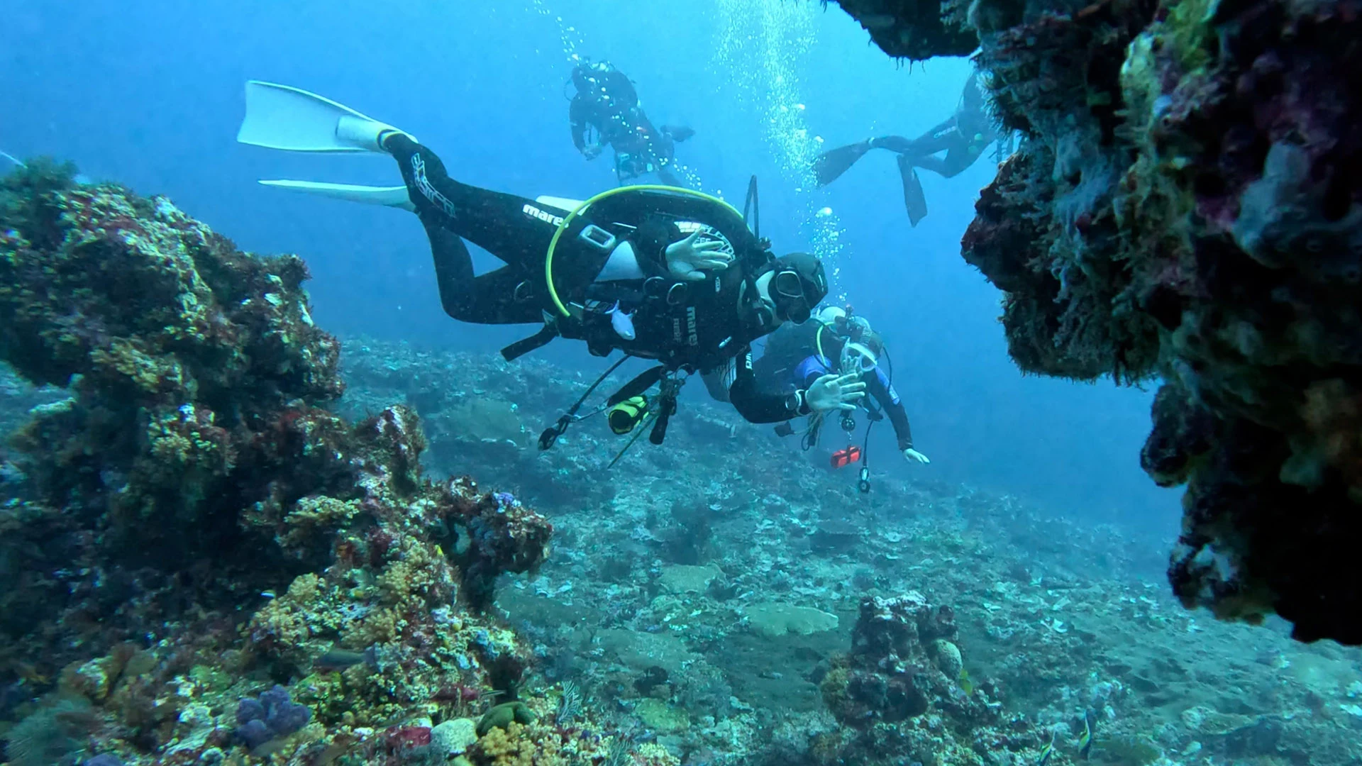 Top 10 Dive Sites in Komodo National Park