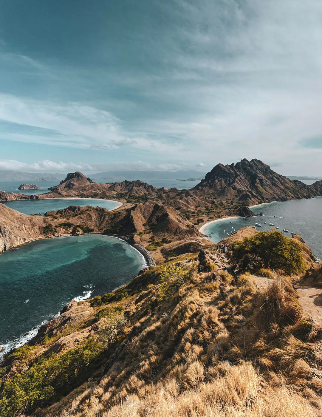 Komodo Sharing Trip