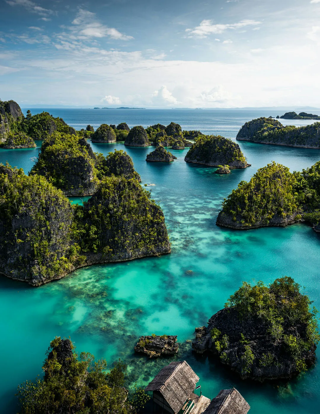 Raja Ampat Sharing Trip